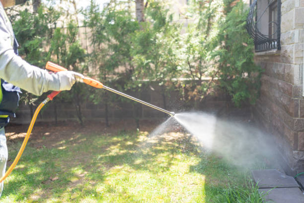 Emergency Pest Control Services in Lansford, PA